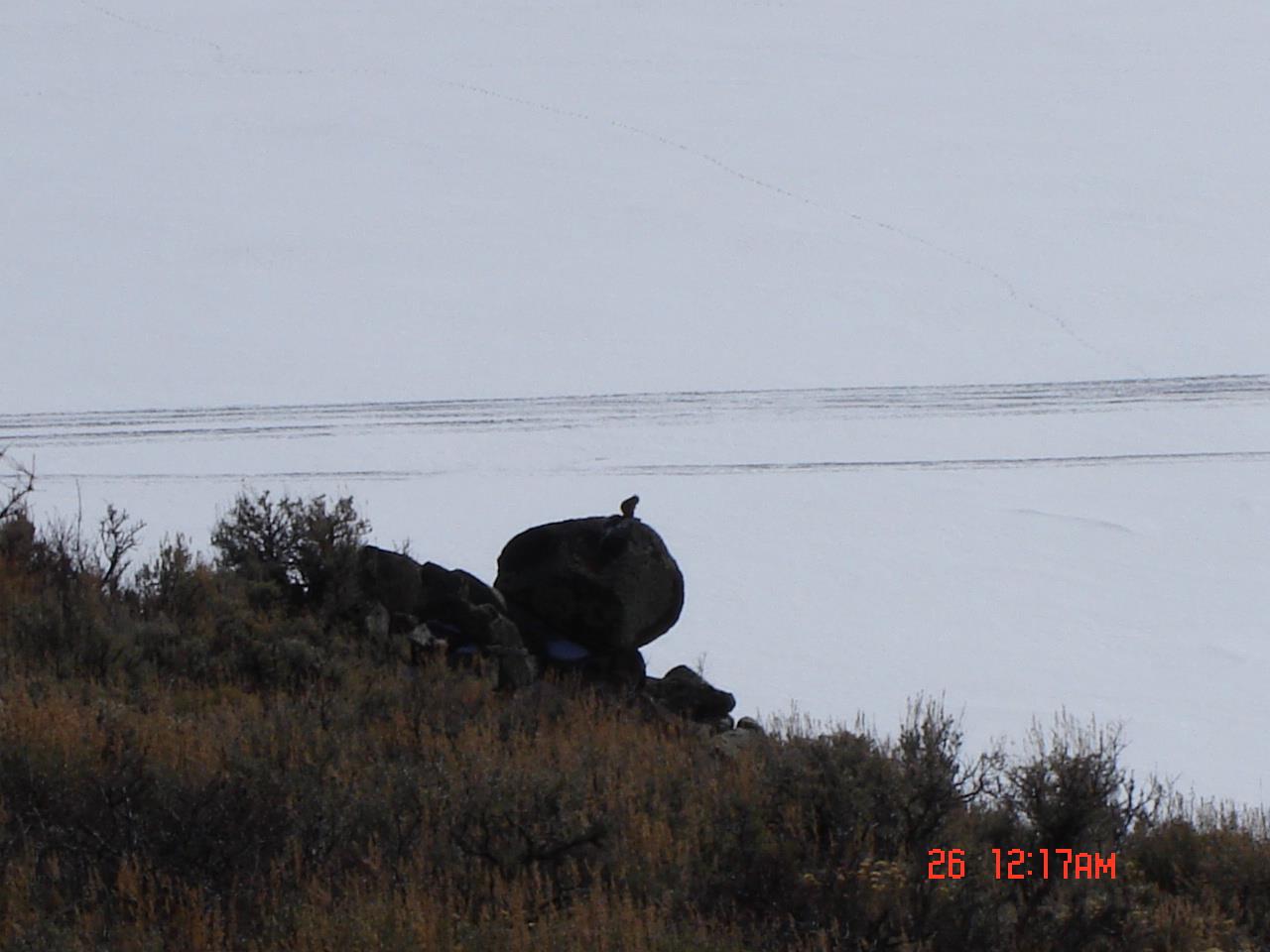 Poze Pescuit la Copca - dsc00960.JPG